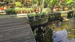 MARGOLIOUTH ROAD (D10), Detached #501669031